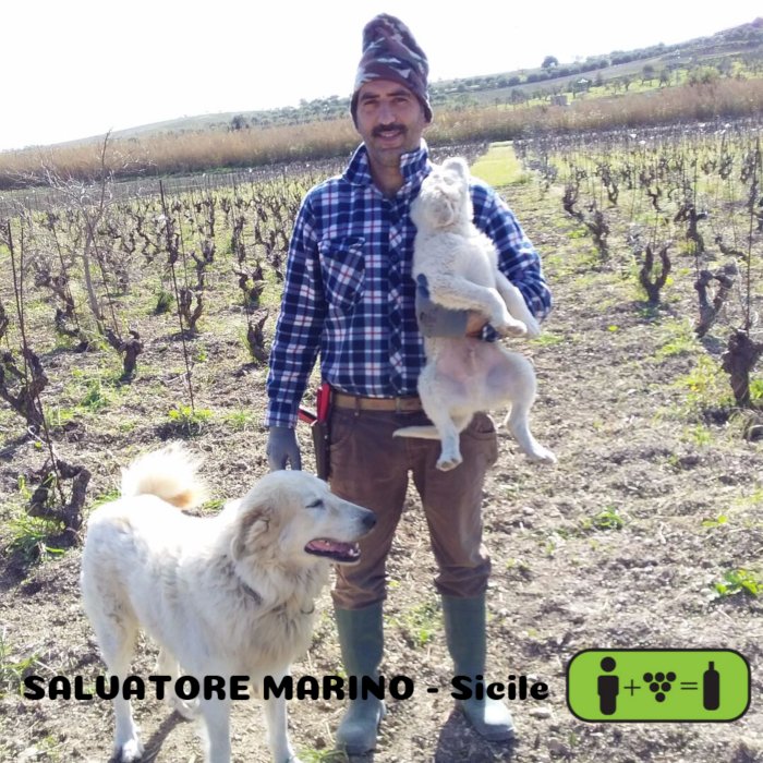 Salvatore Marino