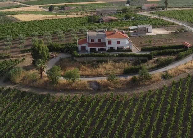 Tenuta Nynfa